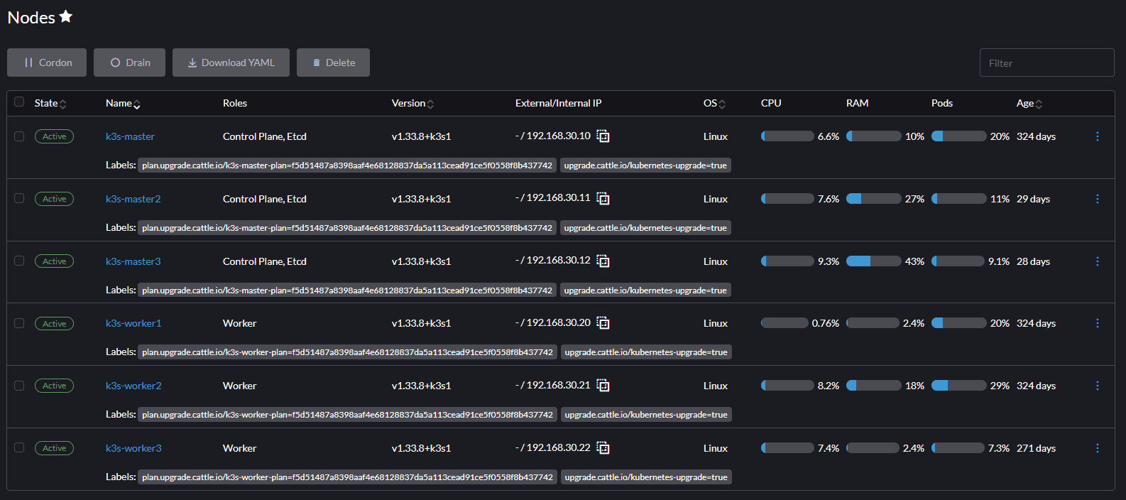 Rancher's node list showing all six k3s nodes Active, three with roles Control Plane and Etcd, three Workers, with CPU, RAM, pod and age columns.